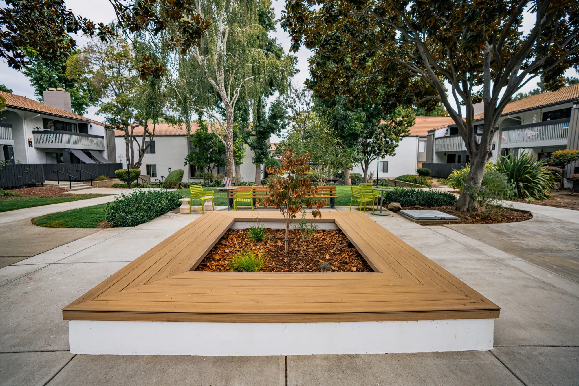 Composite wood planter bench with new tree planting in a community courtyard