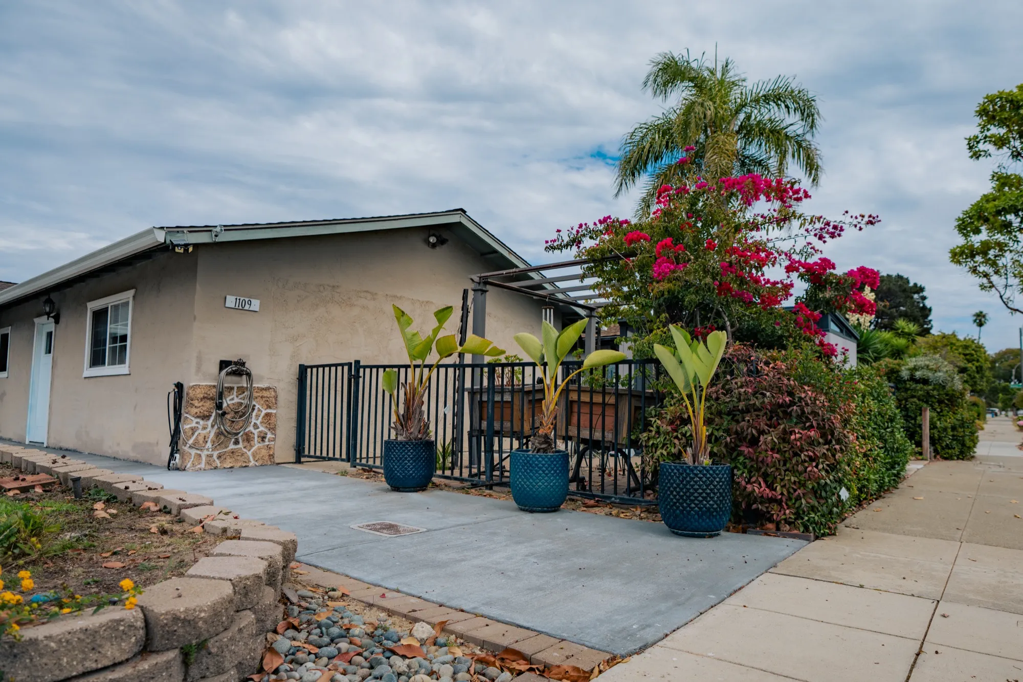 New concrete driveway and gated front patio with tropical container planting and bougainvillea